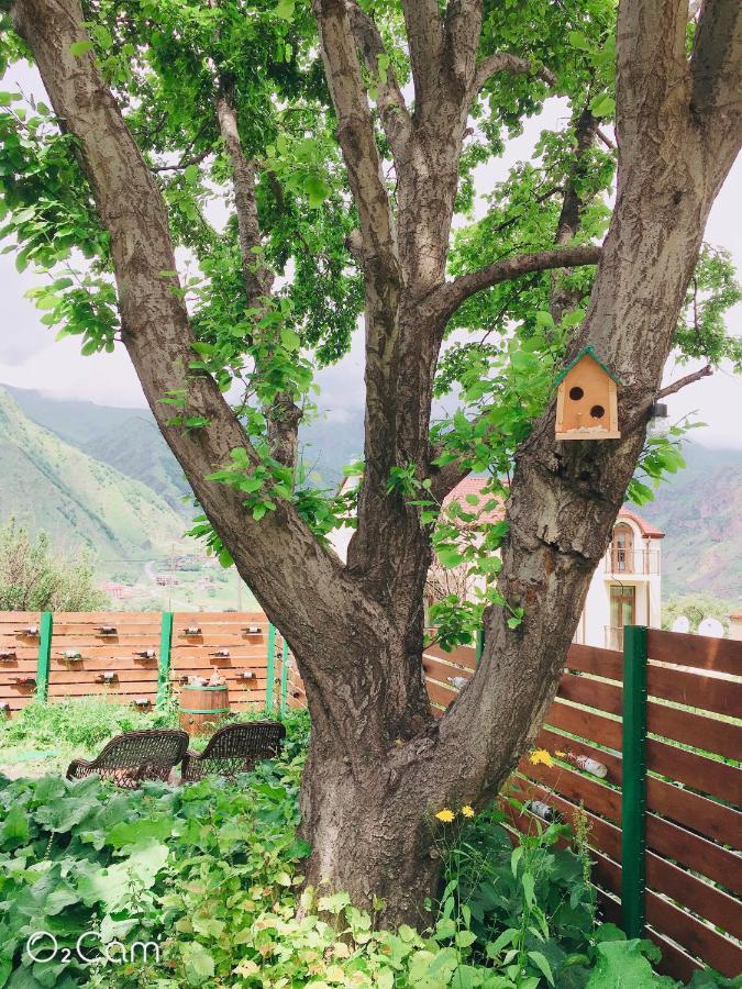 Greenhill Kazbegi Ngoại thất bức ảnh